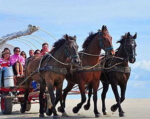 Paardrijden op het strand nabij Carpe Diem vakantiehuis, West, Terschelling, avontuurlijke activiteit.