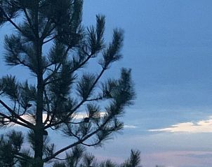 Avondzicht op de natuur rondom BosenDuin vakantiehuis, West aan Zee, Terschelling.