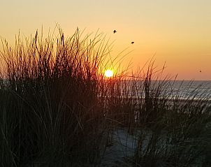 Guest house 031308 - Bungalow Terschelling - Zeekoet