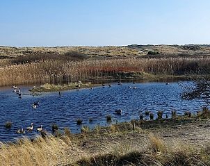 Guest house 031415 - Bungalow Terschelling - Smaragd
