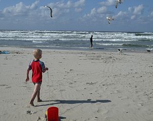 Unterkunft 031422 - Ferienhaus Terschelling - 't Zeepaardje