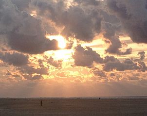 Unterkunft 031422 - Ferienhaus Terschelling - 't Zeepaardje