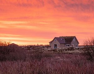 Unterkunft 031423 - Ferienhaus Terschelling - Apenstaartje