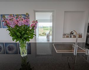 Unterkunft 031423 - Ferienhaus Terschelling - Apenstaartje