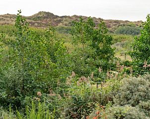 Unterkunft 031427 - Ferienhaus Terschelling - Vlakke Strand
