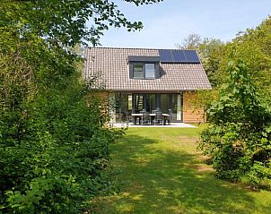 Achtertuin van Vakantiehuisje in Midsland-noord, omgeven door bomen in Midsland Noord, Terschelling. Rustig vakantiehuis op de Waddeneilanden.