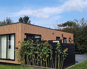 Buitenkant van WadRust chalet in Midsland Noord, Terschelling omringd door zonnebloemen.