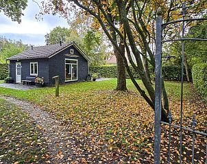 Guest house 031513 - Holiday property Terschelling - Vakantiehuis in Midsland Noord