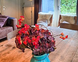 Guest house 031513 - Holiday property Terschelling - Vakantiehuis in Midsland Noord