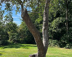 Verblijf 031514 - Vakantiewoning Terschelling - Vakantiehuis in Midsland Noord