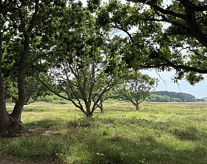 Guest house 031517 - Bungalow Terschelling - Anchorage