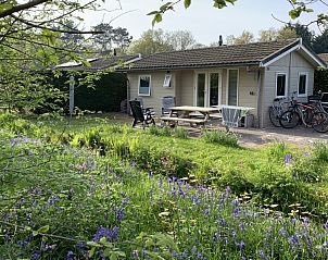 Unterkunft 031526 • Chalet Terschelling • Chalet nr. 12 