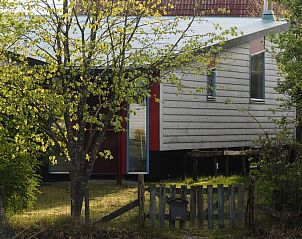 Guest house 031543 - Bungalow Terschelling - De Schelp