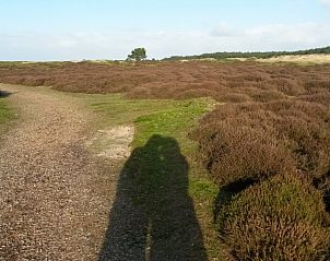 Guest house 031548 - Bungalow Terschelling - Glissando