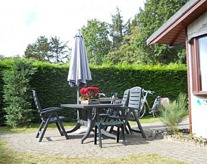 Buitenruimte van Koekoeksdne chalet in Midsland Noord, Terschelling, met terras en tuin omgeven door groen.