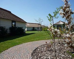 Rustieke wandelpaden rond 2 pers. cottage in Midsland Noord, Terschelling, bieden een serene omgeving voor ontspanning.