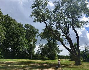 Guest house 031571 - Bungalow Terschelling - ELysium