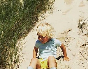 Guest house 031571 - Bungalow Terschelling - ELysium