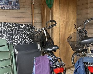 Unterkunft 031573 - Chalet Terschelling - Unesco