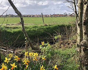Unterkunft 031573 - Chalet Terschelling - Unesco