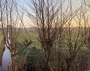 Unterkunft 031573 - Chalet Terschelling - Unesco
