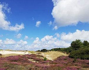 Unterkunft 031574 - Chalet Terschelling - Dunamar