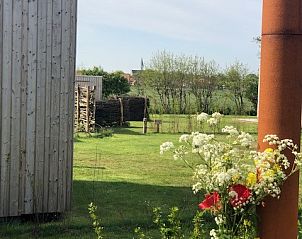 Buitenhuis chalet in Midsland Noord met uitzicht op groene velden en bloemen op Terschelling.