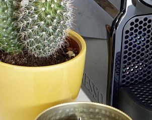 Detail van koffiehoek in Buitenhuis chalet, Midsland Noord, Terschelling met cactus en capsules.