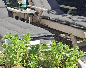 Ligstoelen en verse muntplant bij Moai Fuort stacaravan, Midsland Noord, Terschelling.