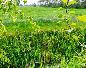 Groene natuur rondom Moai Fuort stacaravan, Midsland Noord, Terschelling met prachtig landschap.