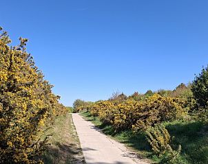 Gezellige buitenzitplaats met bloempotten bij Moai Fuort stacaravan, Midsland Noord, Terschelling.
