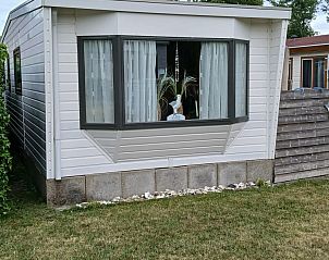 Unterkunft 032203 - Chalet Terschelling - De Albatros