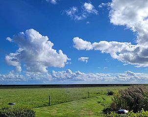 Beautiful view of nature from Holiday home in Ballum, Ameland.
