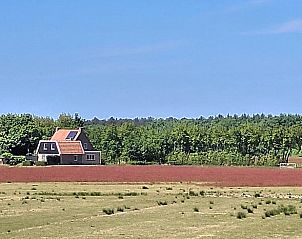 Vacation home in Ballum, Ameland, surrounded by colorful fields.