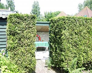 Privacyrijke tuin van elsbeth.op-ameland vakantiehuis in Ballum, Ameland met groene heggen en zithoek.