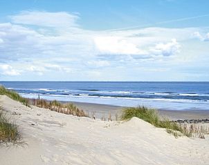 Guest house 0401116 - Bungalow Ameland - Willy