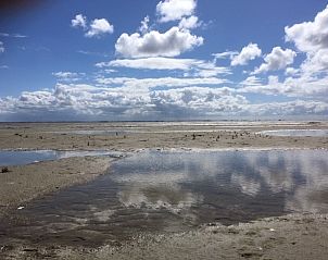Guest house 0401116 - Bungalow Ameland - Willy