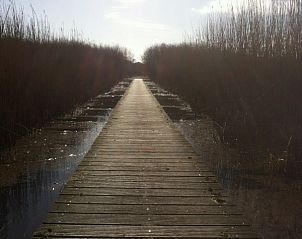 Guest house 0401116 - Bungalow Ameland - Willy