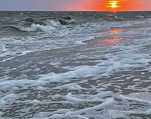 Guest house 0401116 - Bungalow Ameland - Willy