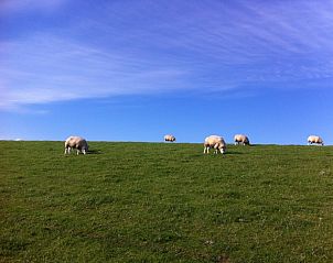 Guest house 0401116 - Bungalow Ameland - Willy