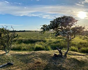 Guest house 0401145 - Bungalow Ameland - Mistral