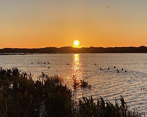 Guest house 0401145 - Bungalow Ameland - Mistral