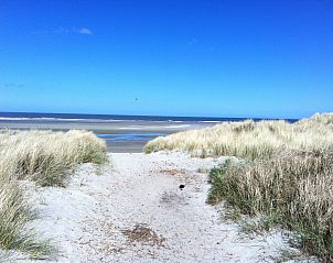 Unterkunft 040114 - Ferienhaus Ameland - Ander Idee