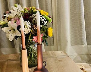 Guest house 0401156 - Holiday property Ameland - Vakantievilla 'Sieta'