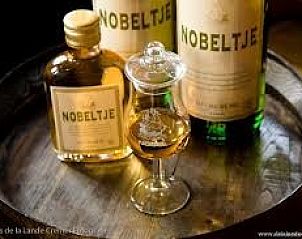 Guest house 0401156 - Holiday property Ameland - Vakantievilla 'Sieta'