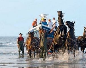 Guest house 0401156 - Holiday property Ameland - Vakantievilla 'Sieta'