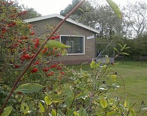 Guest house 0401157 - Bungalow Ameland - Zeevonk