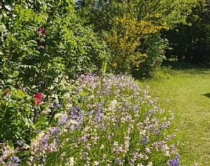 Bloeiende tuin bij Esti vakantiehuis, Ballum, Ameland op de Waddeneilanden.