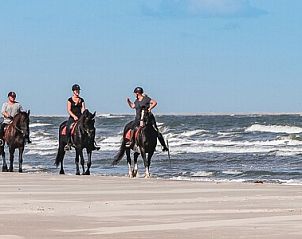 Paardrijden op het strand van Ameland, nabij Esti vakantiehuis, Ballum.