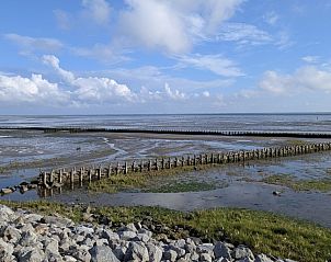 Guest house 0401163 - Apartment Ameland - Finn Lodge